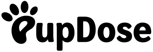 SHELTER