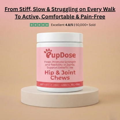 Hip & Joint Chews — Cartilage Support, Inflammation Relief & Long Term Mobility for Dogs