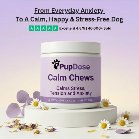 Calm Chews — Anxiety Relief & Daily Stress Support