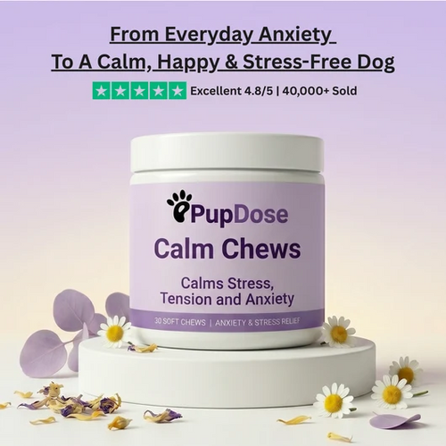 Calm Chews — Anxiety Relief & Daily Stress Support