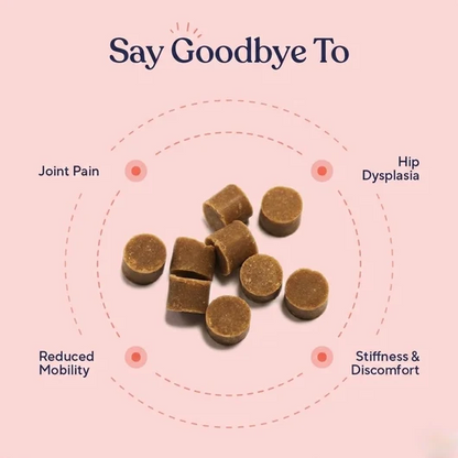 Hip & Joint Chews — Cartilage Support, Inflammation Relief & Long Term Mobility for Dogs
