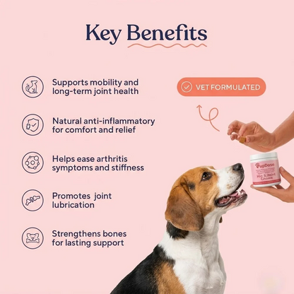 Hip & Joint Chews — Cartilage Support, Inflammation Relief & Long Term Mobility for Dogs