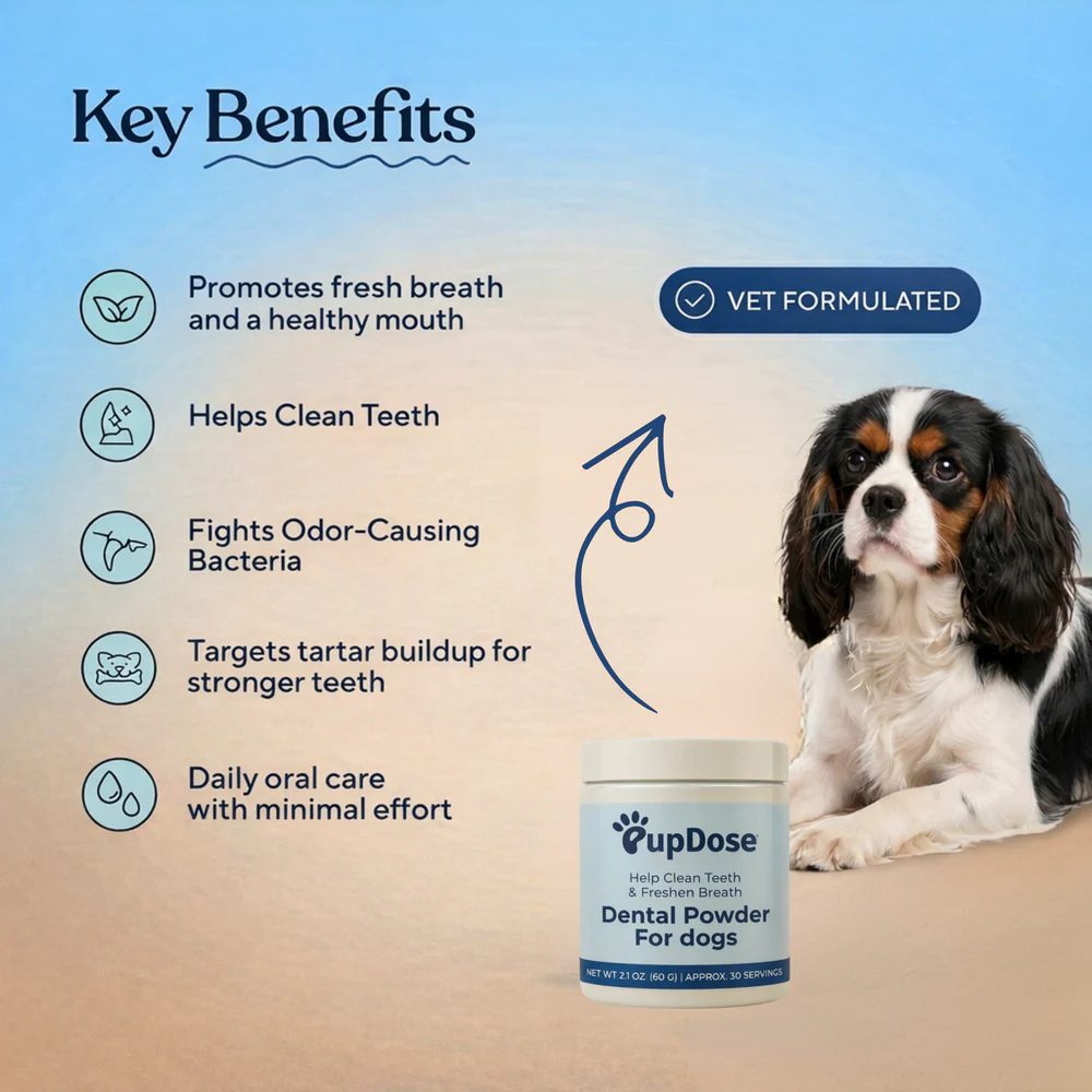 Dental Powder — Fresh Breath, Cleaner Teeth & Healthier Gums for Dogs